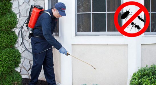 Şarköy Dezenfeksiyon böcek ilaçlama ve haşere kontrolü — ilaclama-tr.com